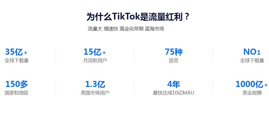 外贸独立站搭建Tiktok推广  第3张