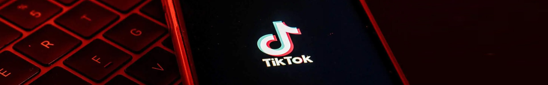 外贸独立站搭建Tiktok推广  第2张