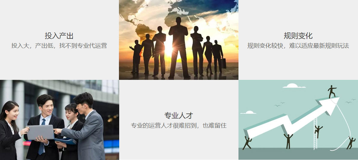 外贸独立站搭建阿里国际站代运营  第1张